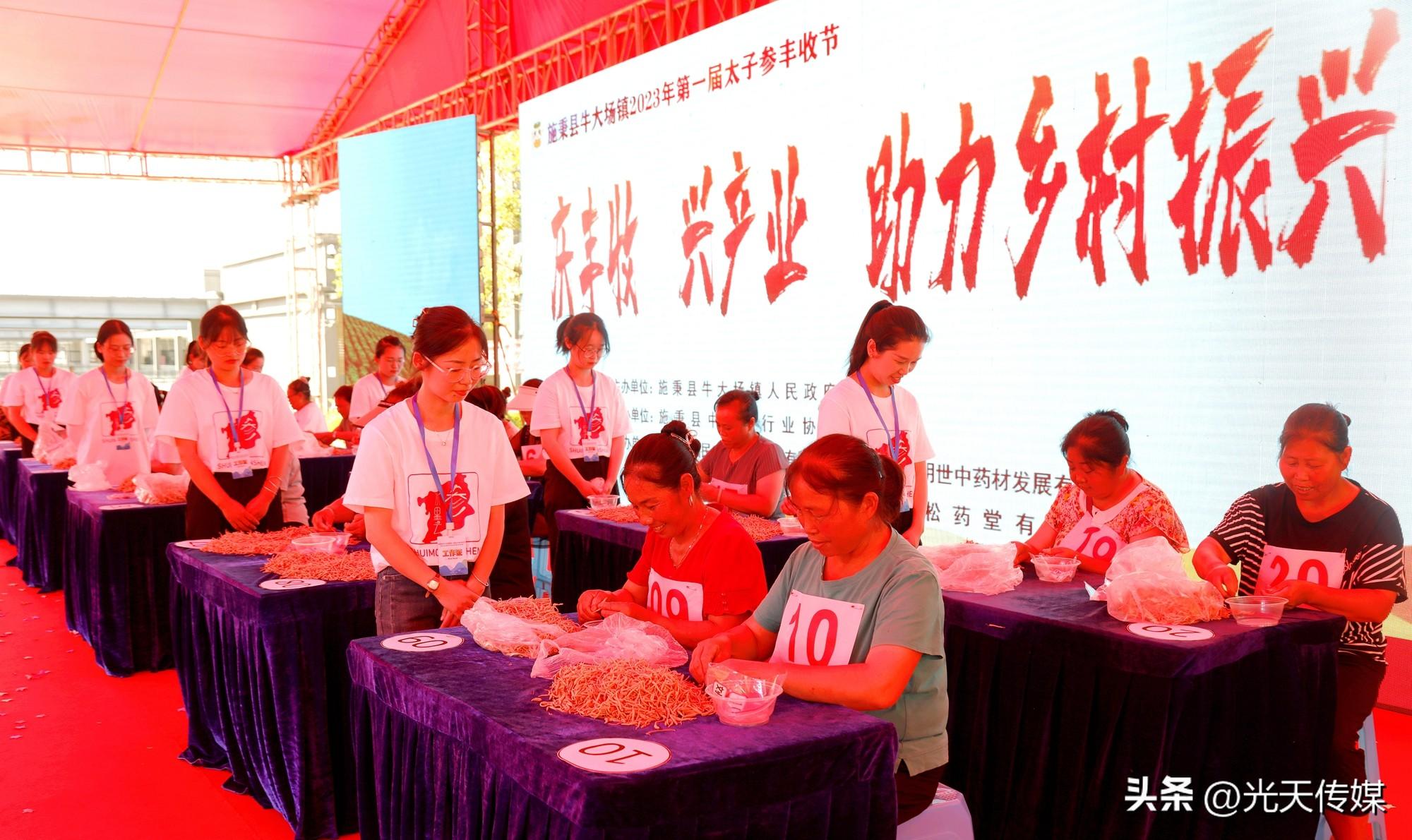 施秉太子參最新行情速遞，市場動態(tài)與溫馨日常