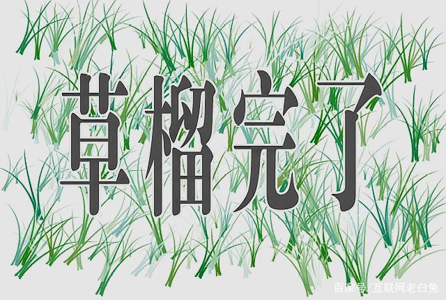 草橊社區(qū)地址2025最新版，位置、特色與發(fā)展概述