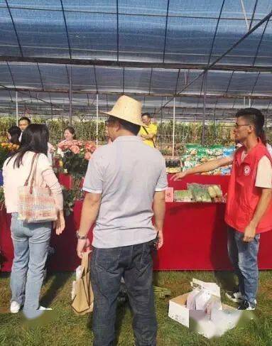 通海最新服務(wù)，溫馨日常故事啟程的起點