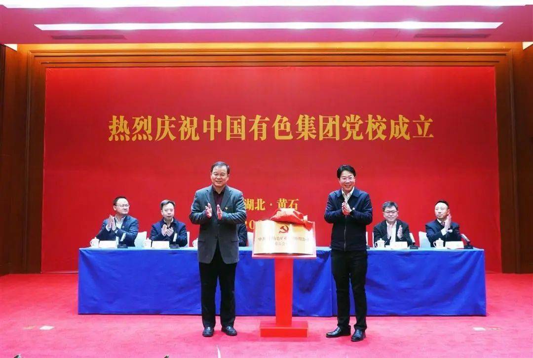 最新成立項目步驟指南全解析