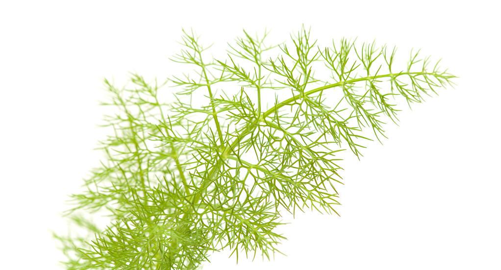 最新胃痛研究揭秘，背景、進(jìn)展及其影響
