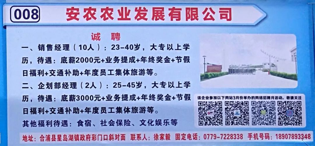 合浦縣城最新招工信息，科技革新助力智能生活招聘啟航